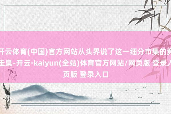 开云体育(中国)官方网站从头界说了这一细分市集的竞争圭臬-开云·kaiyun(全站)体育官方网站/网页版 登录入口